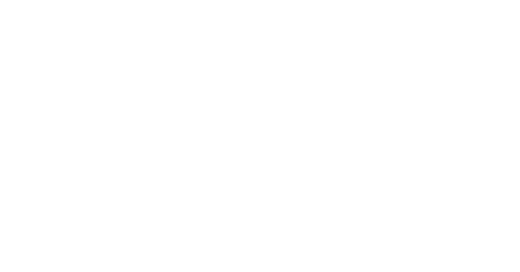 D'Amelio Huskies Collective