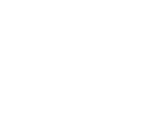 Stars of Storrs